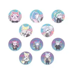 あらいぐま カルカル団 缶バッジ（EX）全10種
