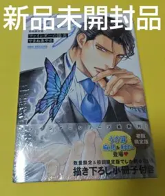 ファインダーの陽炎 初回限定版