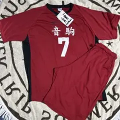 ハイキュー！！バレーボールウェア上下セット