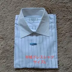 ストライプ 半袖シャツ