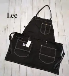 Item thumbnail for item f5da0451-696e-4dc2-b373-737730a40e64