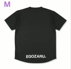 Item thumbnail for item c01962f8-4d18-4846-9b7d-55ee13bf8433