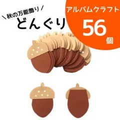 どんぐり×56個【アルバムクラフト】