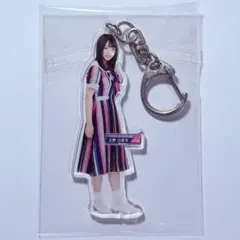 乃木坂46 ジコチューで行こう! 全身アクリルキーホルダー 北野日奈子
