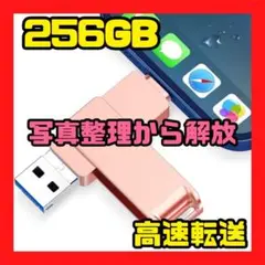256GB 大容量【USBメモリ】iPhone 画像転送 スマホ 容量不足