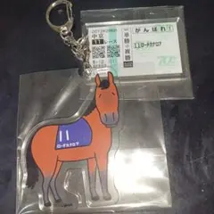 JRAウェルカムチャンス おがわじゅりロードカナロア11番キーホルダー<非売品>