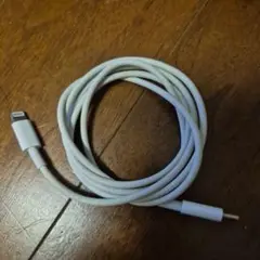 ホワイト Lightningケーブル 標準長　タイプC