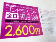 割引券 ウィングヒルズ白鳥リゾート 全日 スキー ボード