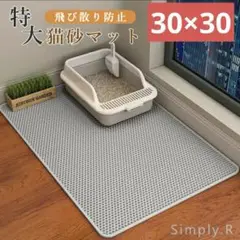 Item thumbnail for item 040b7086-05bb-47b9-ab6a-8105e5d0ddc5