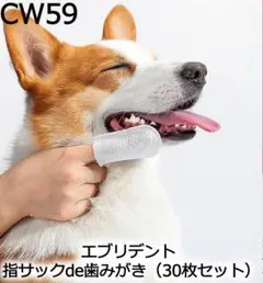 Item thumbnail for item fe1f9c9c-afcc-482f-bc6a-d7f67535cd63