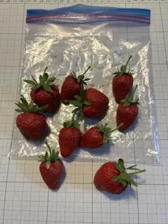 いちご　10個セット