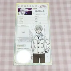 KING OF PRISM キンプリ プリズム結婚調査報告書 ルヰ レオ