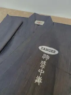 Item thumbnail for item 6a238361-2598-4d30-8251-576b520c609d