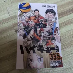 ハイキュー　33.5