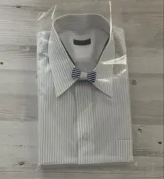 ワイシャツ[WITTYWALK] レギュラーカラー 防汚加工 グレーストライプ