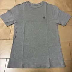Polo Ralph Lauren グレー Tシャツ Mサイズ