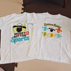 Item thumbnail for item 4f9e95b9-73de-4d14-bf33-2ab63d5ebe2e