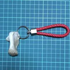 熊の骨