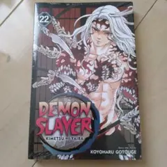 Demon Slayer: Kimetsu no Yaiba 22