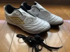 アンブロ　アクセレイター TR EX WIDE KM 26㎝