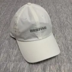 Item thumbnail for item 36dcff4f-0fb5-4741-b1f7-aa44214d73a5