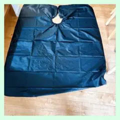 Item thumbnail for item 912c3747-3b0b-4599-a886-b844eeabb0b7