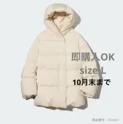 Item thumbnail for item 196424d1-531f-4f50-a88e-7287bf5d6d49