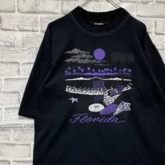 USA製90sヴィンテージTシャツ！シングルステッチ　ブラック半袖古着L722