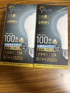 LED電球 口金直径26mm 100形相当 昼光色相当(12.5W)2個