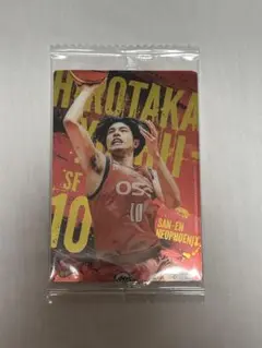 【ツインウエハース】Bリーグ日本代表 吉井裕鷹