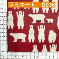 ラミネート　50センチ しろくま　赤