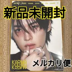 リノ★新品未開封★Accordionバージョン