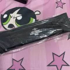 VALORANT Challengers Japan 特典 クッション グッズ
