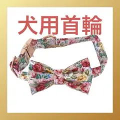 Item thumbnail for item 40cd867e-2f66-4ae0-ab43-0952f1990810