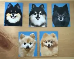 Item thumbnail for item c8d30a66-ecdc-41d8-88a9-c49038f38057