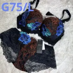 サルート　69グループ ⭐️WI⭐️G70/M上下セット⭐️新品❗️ 2025年最新】サルート店舗限定商品69グループの人気アイテム