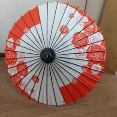 和傘 七五三 撮影