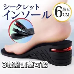 シークレットインソール 3段階 調整 6cm 中敷き メンズ エアインソール