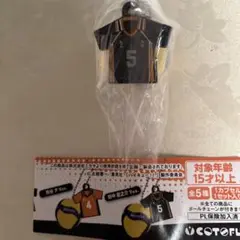 ハイキュー　MiKASA ガチャ