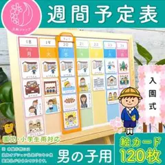 週間予定表 男の子用 お支度ボード 視覚支援 絵カード カレンダー 療育グッズ
