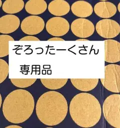 ゾロッタークさん専用となります