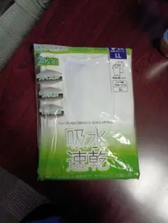 Item thumbnail for item 11dcd6a2-02d5-482e-af81-c07ded5db442