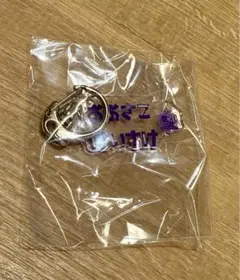 サンフレッチェ 広島 ガチャ 1 大迫敬介 ひらがなアクリルキーホルダー 新品