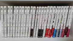 値下げ！文芸ストレイドッグス 全26巻セット