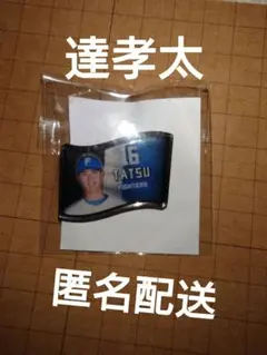 達孝太　ピンバッジ　シークレット　エスコン　カプセルトイ