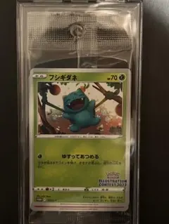 ポケモンカード　イラストレーションコンテスト　2022 未開封プロモ