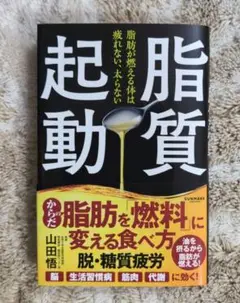 【美品】脂質起動　山田悟