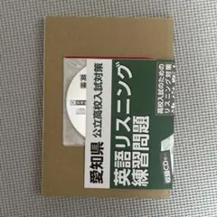 Item thumbnail for item 6f117fe5-8fc2-4f1c-a7d7-20d0763802ee