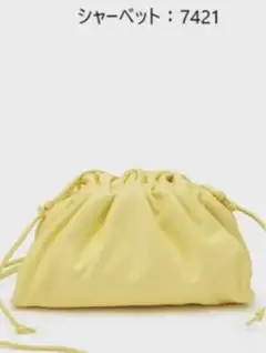 最終お値下げ!ボッテガヴェネタ ミニザ・ポーチ 美品