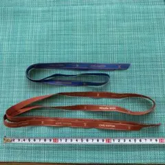 Item thumbnail for item cc6ada9e-8246-407d-9dc2-30a0cd95029c